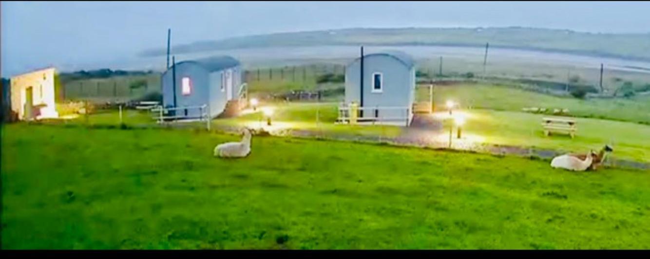 The Snuggly Sheep Shepherd Hut Farm Stay Ballyshannon Luaran gambar